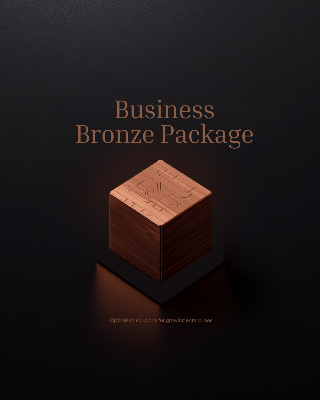 Business Bundle BRONZE