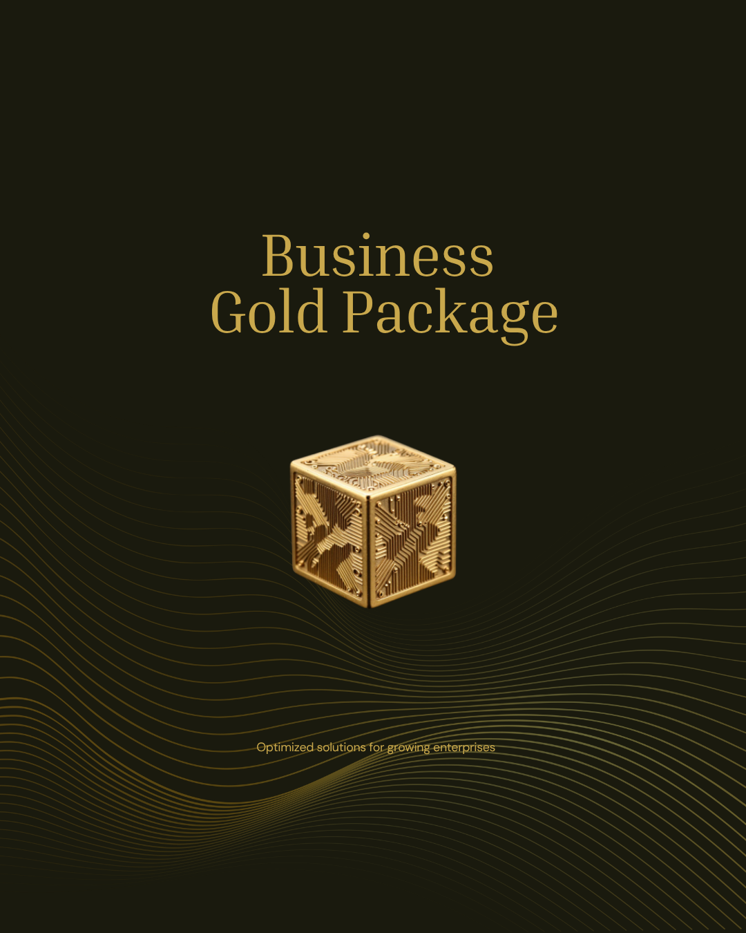 Business Bundle GOLD