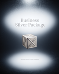 Business Bundle SILVER