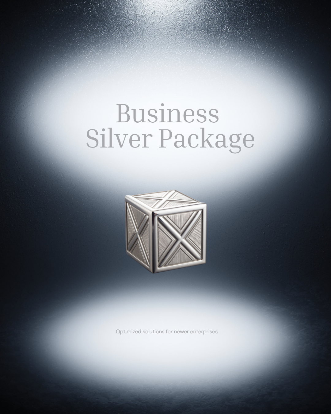 Business Bundle SILVER