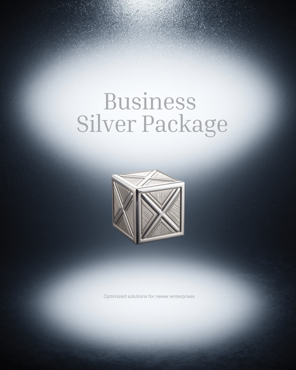 Business Bundle SILVER
