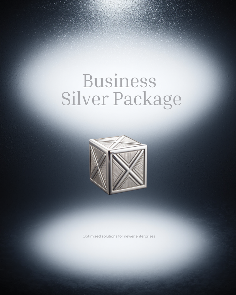 Business Bundle SILVER